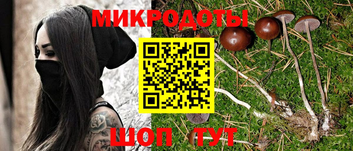 Галлюциногенные грибы ЛСД Бийск